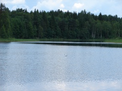 DSC04135.JPG