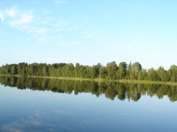 DSC04210.JPG