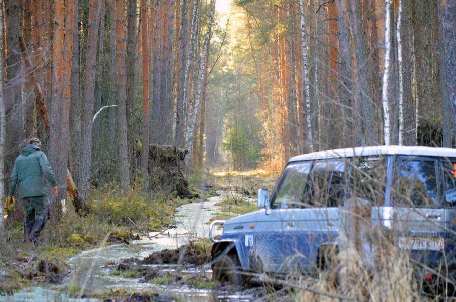 За подснежниками