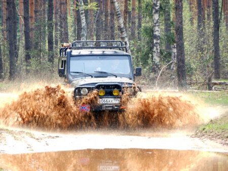 Лужи?  Нет, не видел.