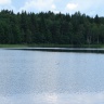 DSC04135.JPG
