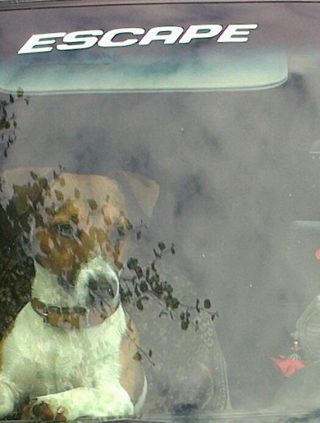 IMAG0639_1.jpg