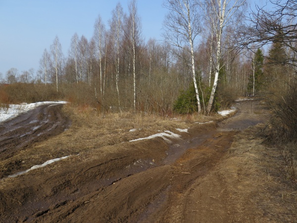 Дорога к ШАРУ