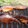DSC03686.JPG